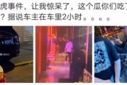 娱乐吃瓜场地图片真实,一场视觉与味蕾的双重盛宴